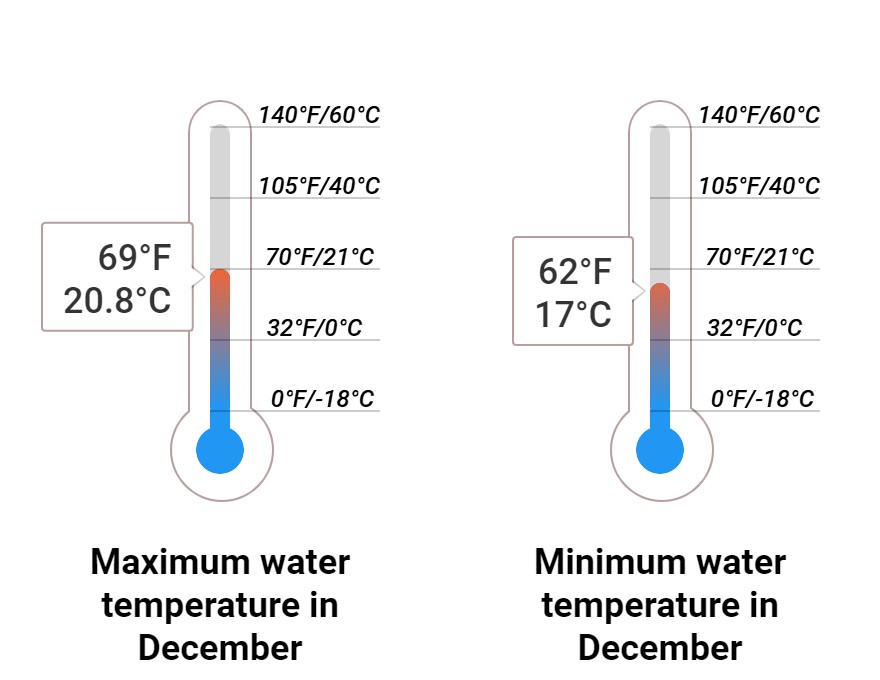 Average Sea temperature